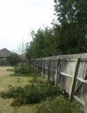 Top-rated yard cleanup service in College Station, TX - Endurance Lawn Care