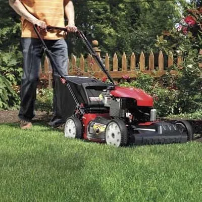 Professional landscaping services for beautiful yards in College Station, TX by Endurance Lawn Care