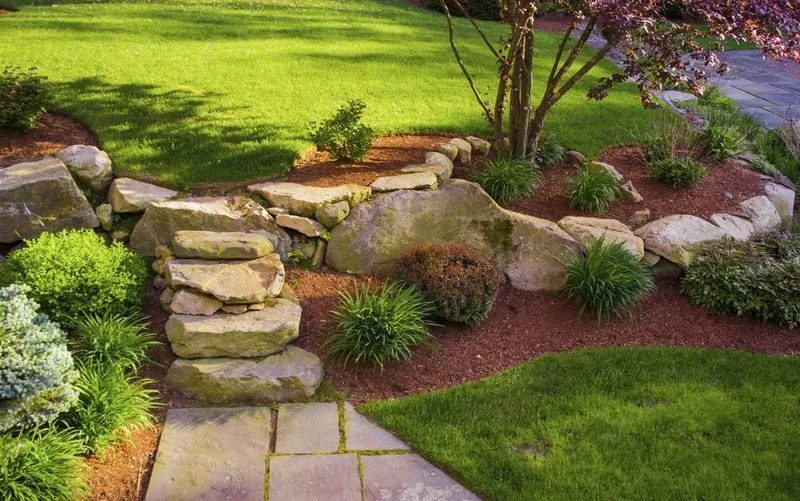 Top-rated yard cleanup service for outdoor upgrades in College Station, TX by Endurance Lawn Care