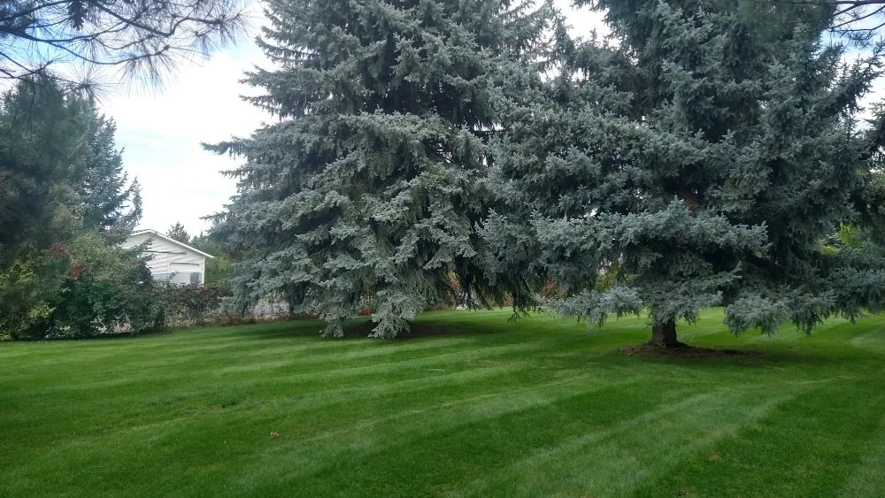 Custom lawn care service with custom design across Post Falls, ID - Endurance Lawn Care