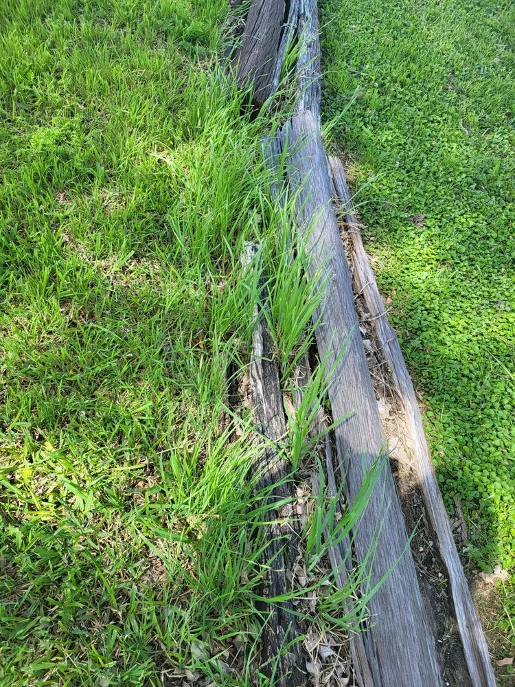 Affordable yard maintenance experts serving San Antonio, TX - Endurance Ranch Lawn Services