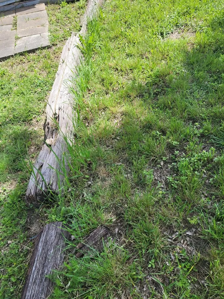 Professional garden landscaping in San Antonio, TX by Endurance Ranch Lawn Services