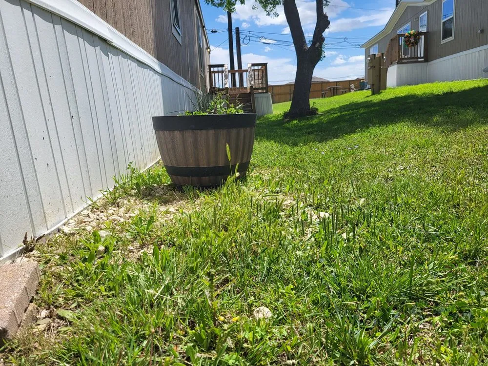 Expert yard cleanup service near you across San Antonio, TX - Endurance Ranch Lawn Services