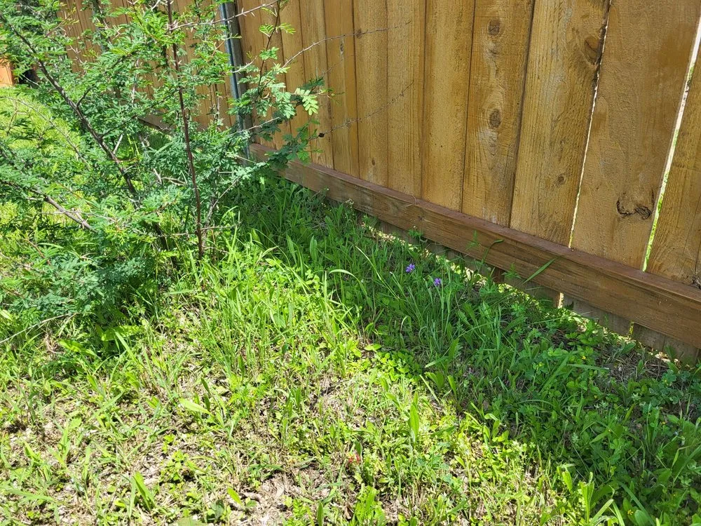 Custom residential landscaping for outdoor upgrades in San Antonio, TX by Endurance Ranch Lawn Services