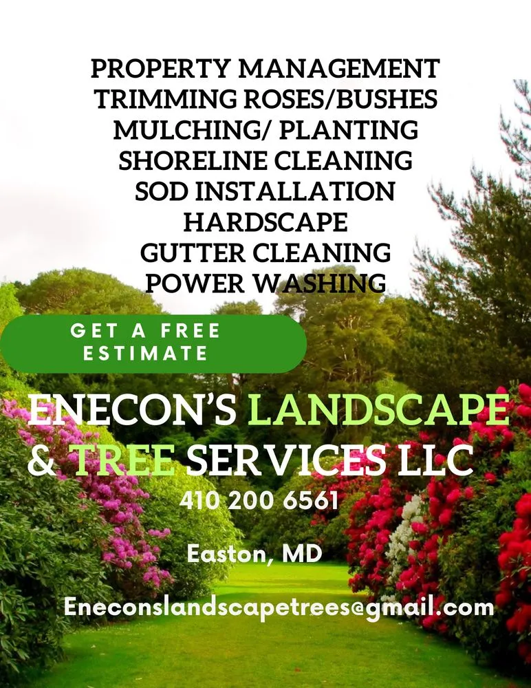 Top-rated yard cleanup service near you across Easton, MD - Enecon's Landscape & Tree Services