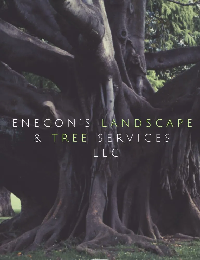 Top-rated landscape installation in Easton, MD - Enecon's Landscape & Tree Services