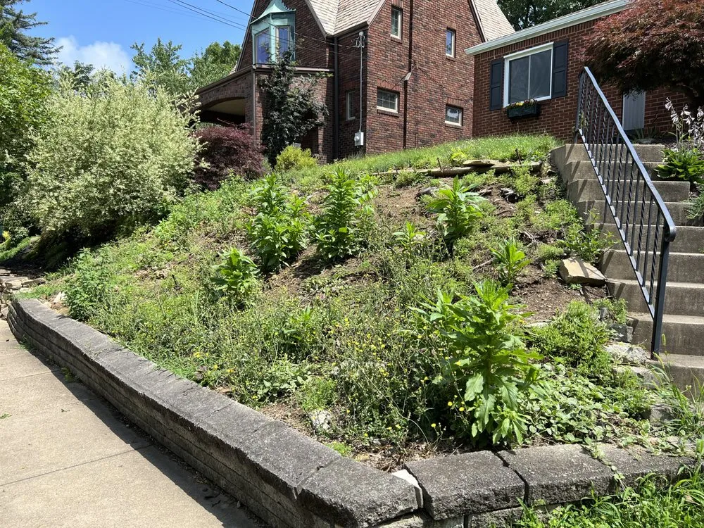 Local landscape installation in Washington, PA - Eneix Enterprises