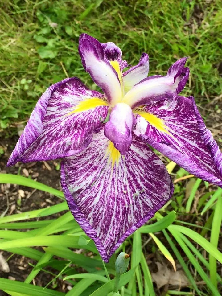 Trusted landscape design near you in Pittsfield, MA by Energetic Landscaping