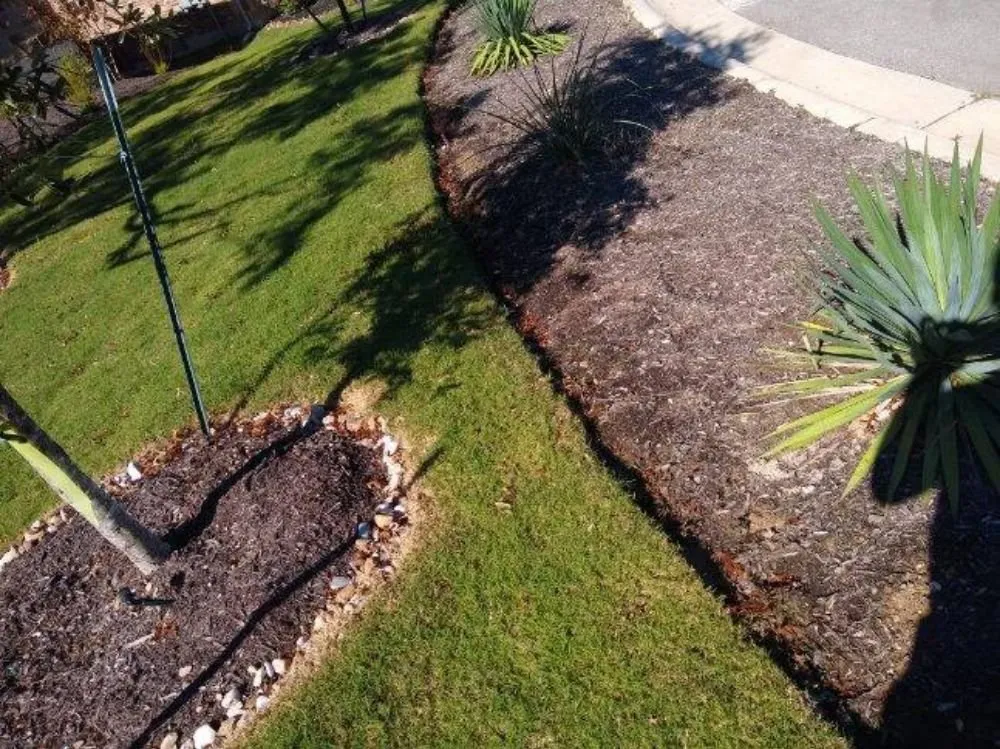 Top-rated residential landscaping experts serving Leander, TX - Energized Lawn Services