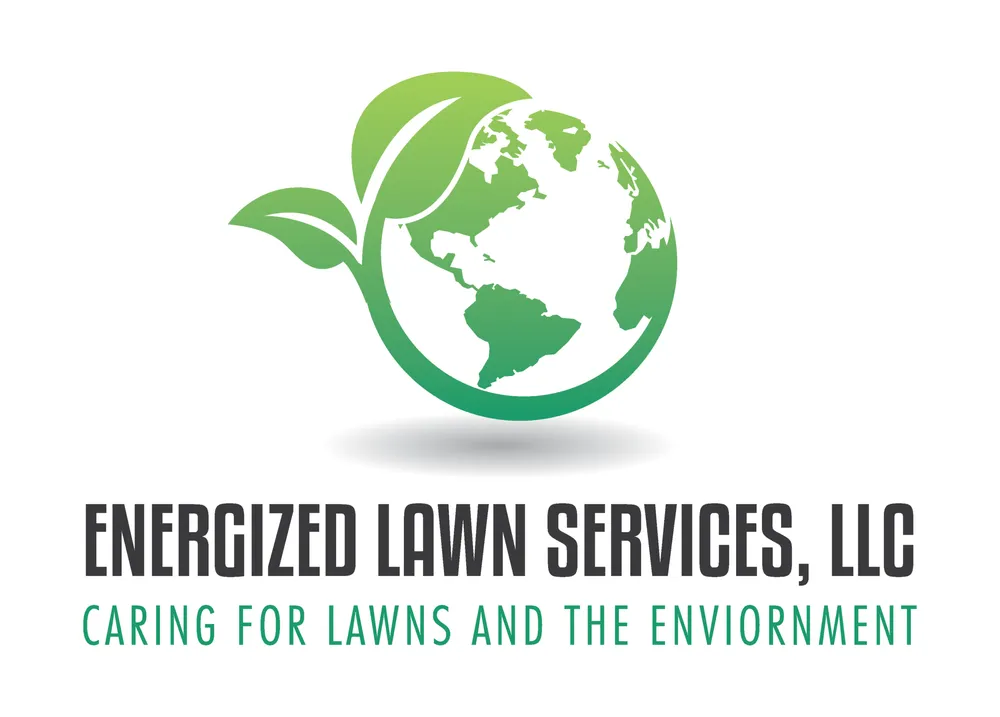 Reliable landscape design for beautiful yards in Leander, TX by Energized Lawn Services