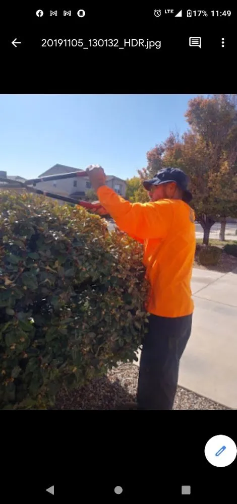 Top-rated landscaping services for residential properties across Las Cruces, NM - Energy 100