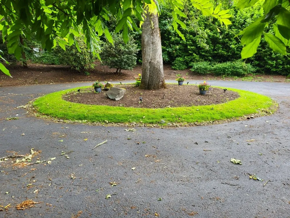 Expert outdoor landscaping in Lakewood, WA by Energy Landscape SPC