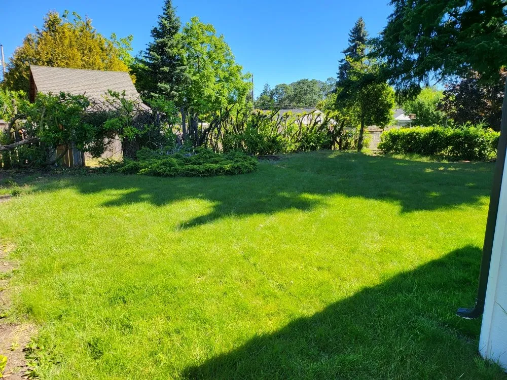 Professional garden landscaping in Lakewood, WA - Energy Landscape SPC