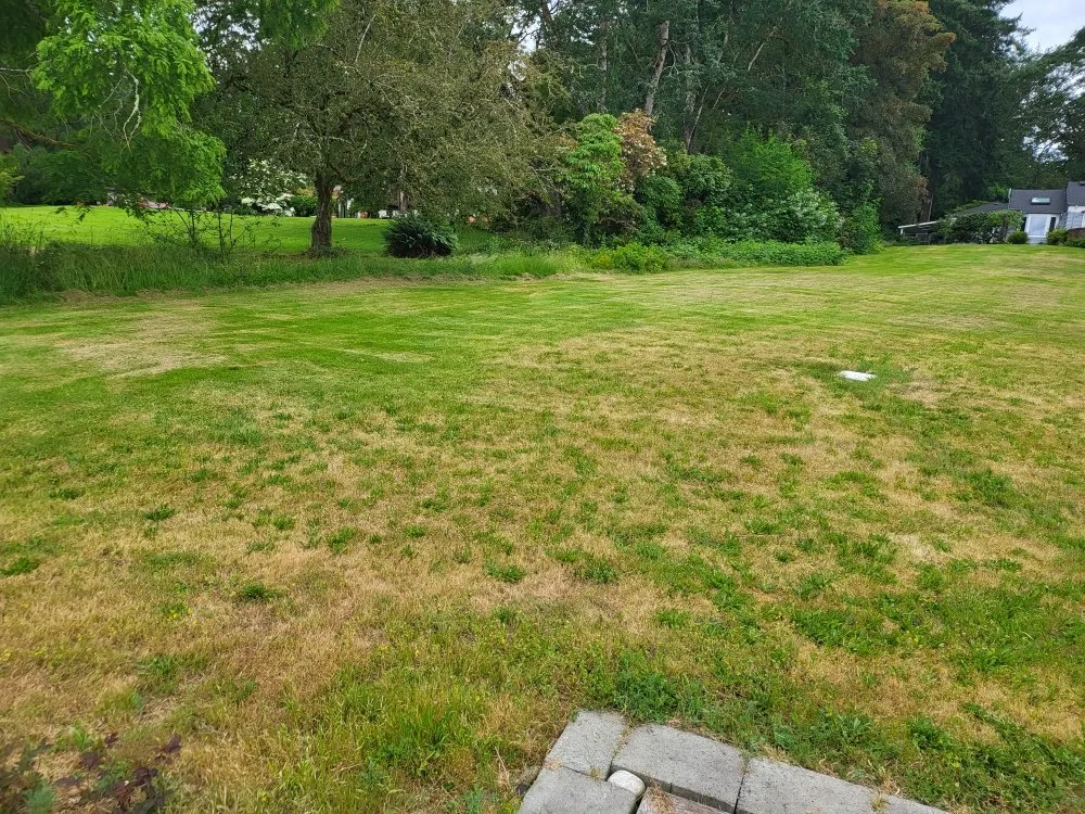 Reliable yard maintenance with custom design in Lakewood, WA by Energy Landscape SPC