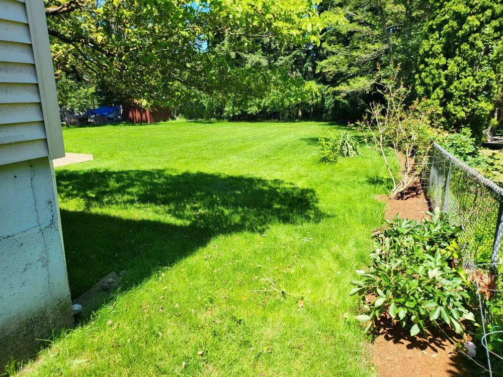 Professional garden landscaping near you in Lakewood, WA by Energy Landscape SPC