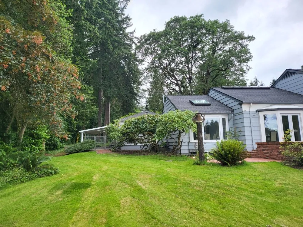 Professional yard cleanup service in Lakewood, WA by Energy Landscape SPC