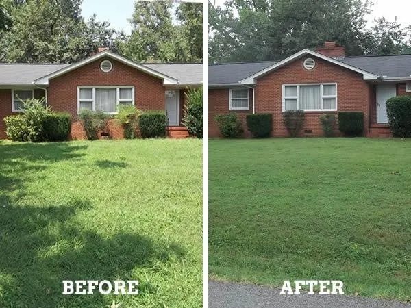 Expert garden landscaping for homes in Knoxville, TN by Energy Solutions Landscaping