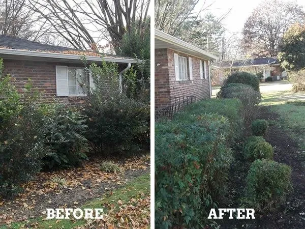 Trusted landscaping services experts serving Knoxville, TN - Energy Solutions Landscaping