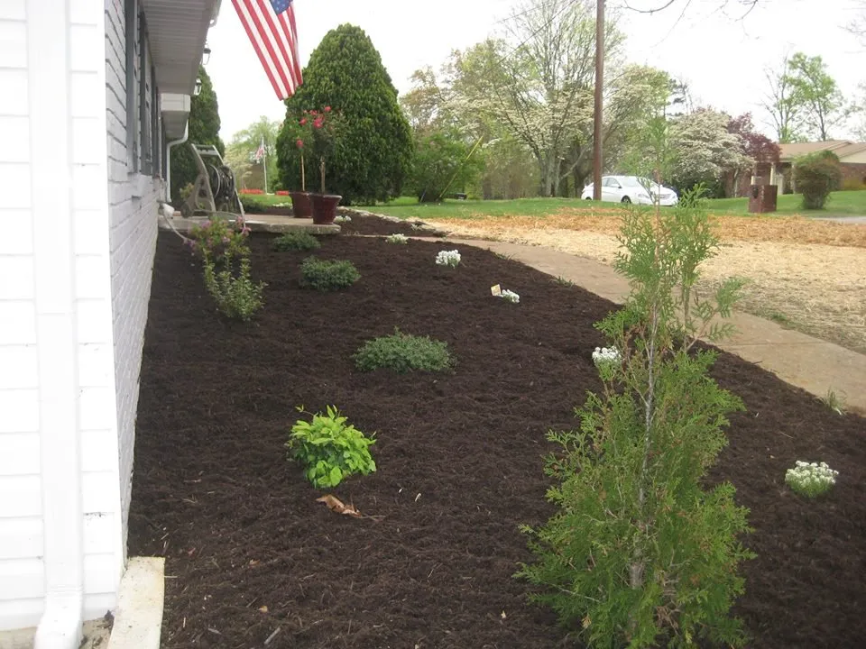 Expert residential landscaping for outdoor upgrades in Knoxville, TN by Energy Solutions Landscaping