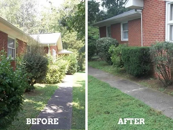 Custom lawn care service in Knoxville, TN by Energy Solutions Landscaping