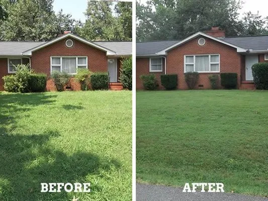 Energy Solutions Landscaping Logo