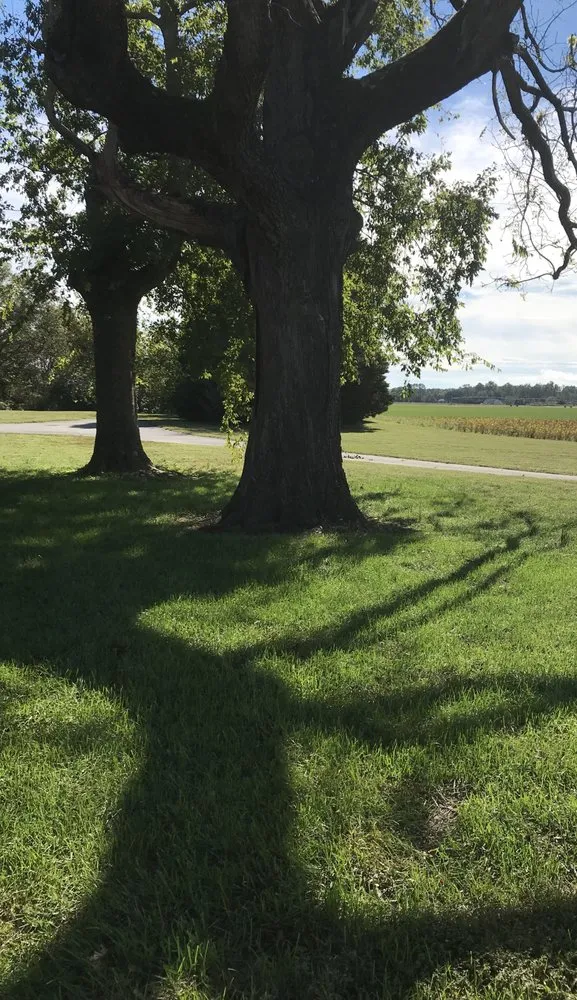 Trusted landscaping services in Walkerton, VA by Enfield Sod