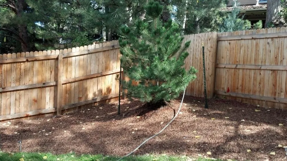 Top-rated residential landscaping in Englewood, CO - Engel Property Services