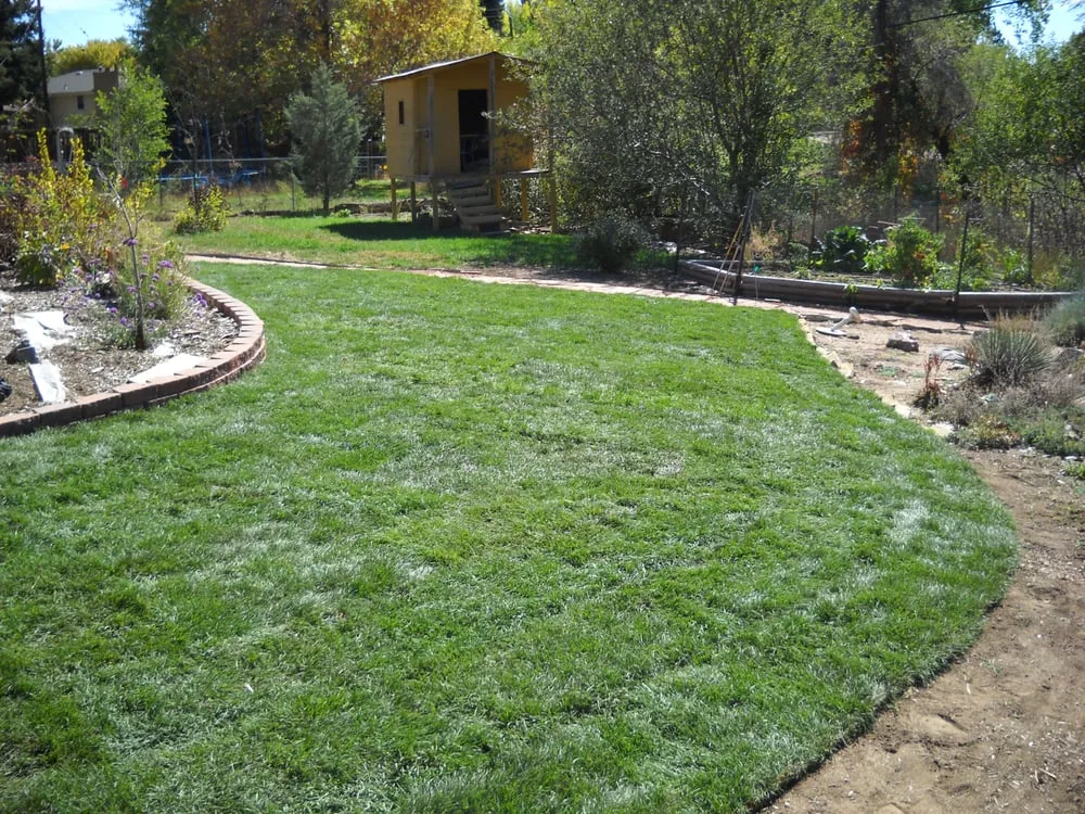 Reliable landscaping services near you across Englewood, CO - Engel Property Services