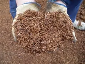 Professional lawn care service for outdoor upgrades across Hollister, CA - Engine109