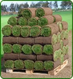 Local landscape design experts serving Hollister, CA - Engine109