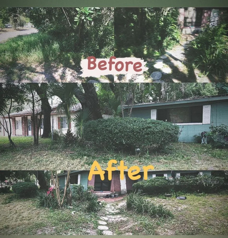 Affordable landscaping services in Orlando, FL by Engineered & Doctored Landscape