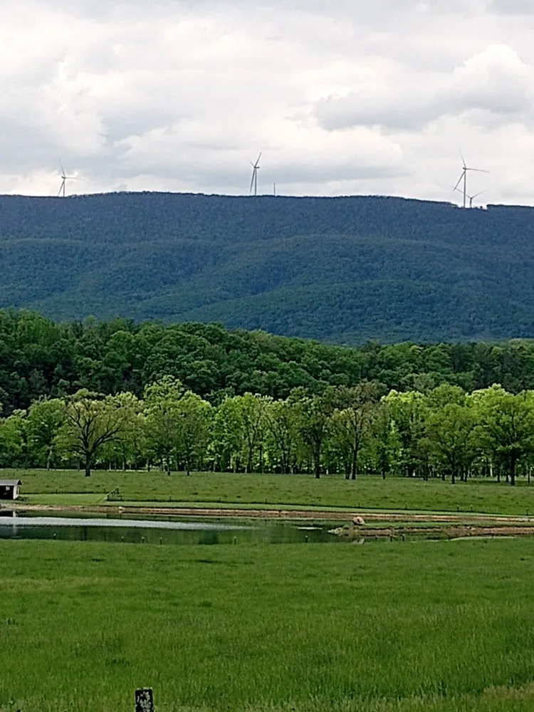 Top-rated landscaping services in Cumberland, MD by England Landscaping