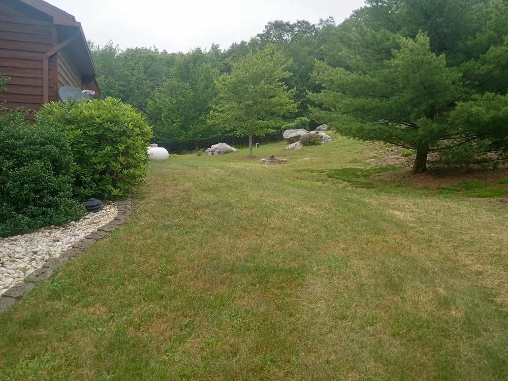 Top-rated lawn care service for homes in Cumberland, MD by England Landscaping