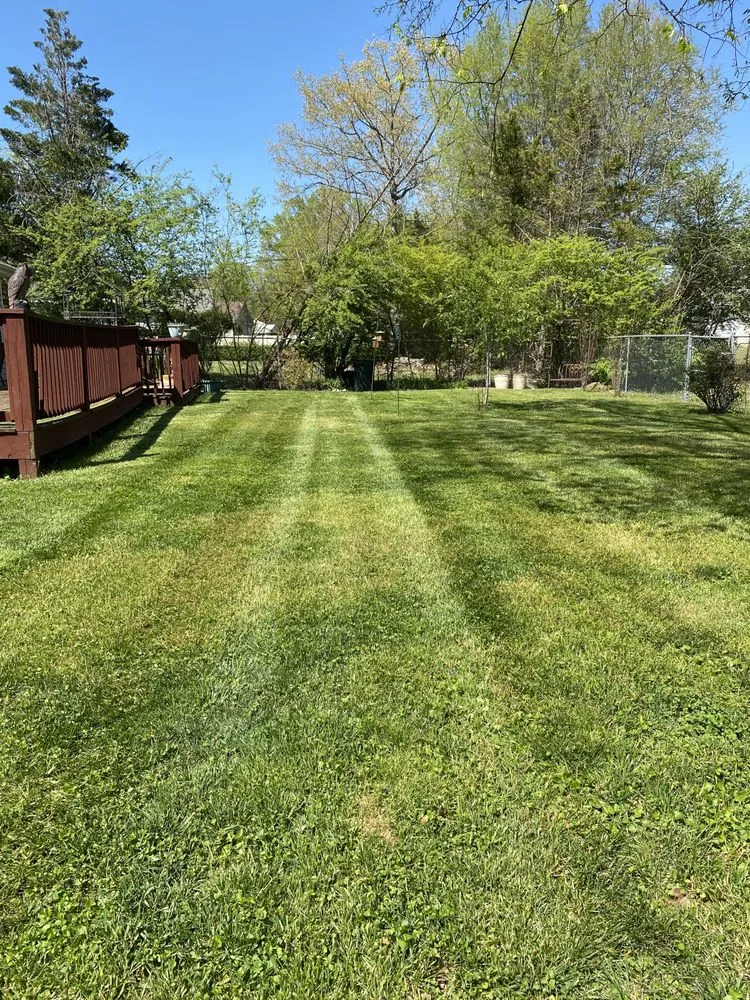Reliable lawn care service in Lakesite, TN - England Lawncare