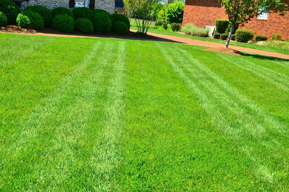 Local lawn mowing service for year-round maintenance in Shickshinny, PA by Engle Lawn Care