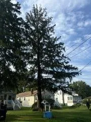 Top-rated lawn mowing service with custom design across Shickshinny, PA - Engle Lawn Care