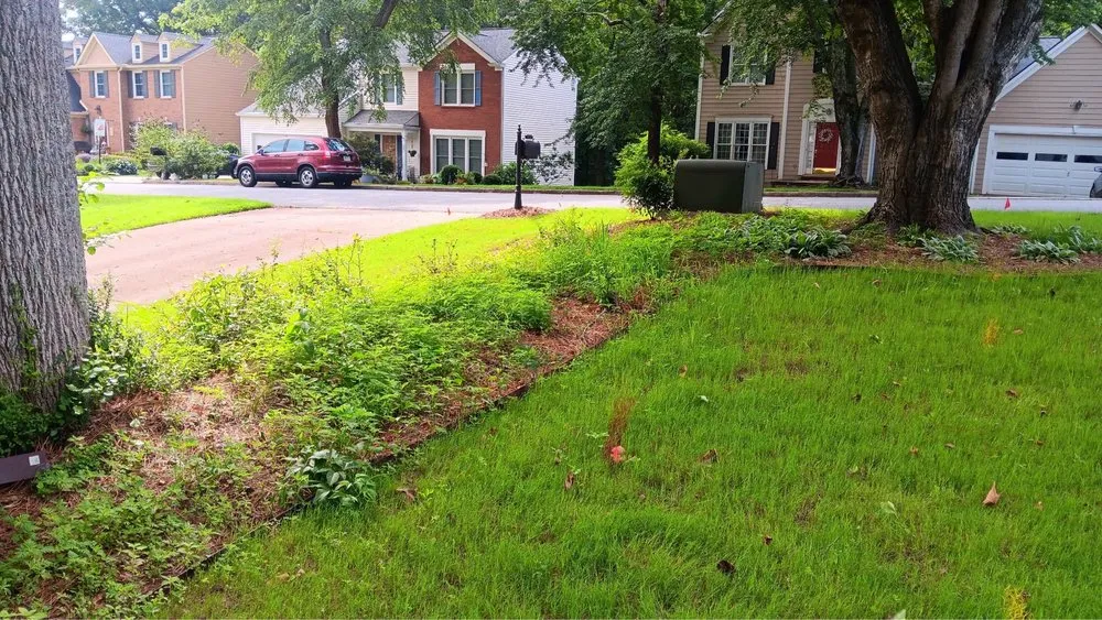 Reliable landscaping services experts serving Cumming, GA - Engle Solutions