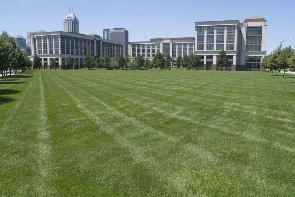 Trusted lawn care service for beautiful yards in Carmel, IN by Engledow Group