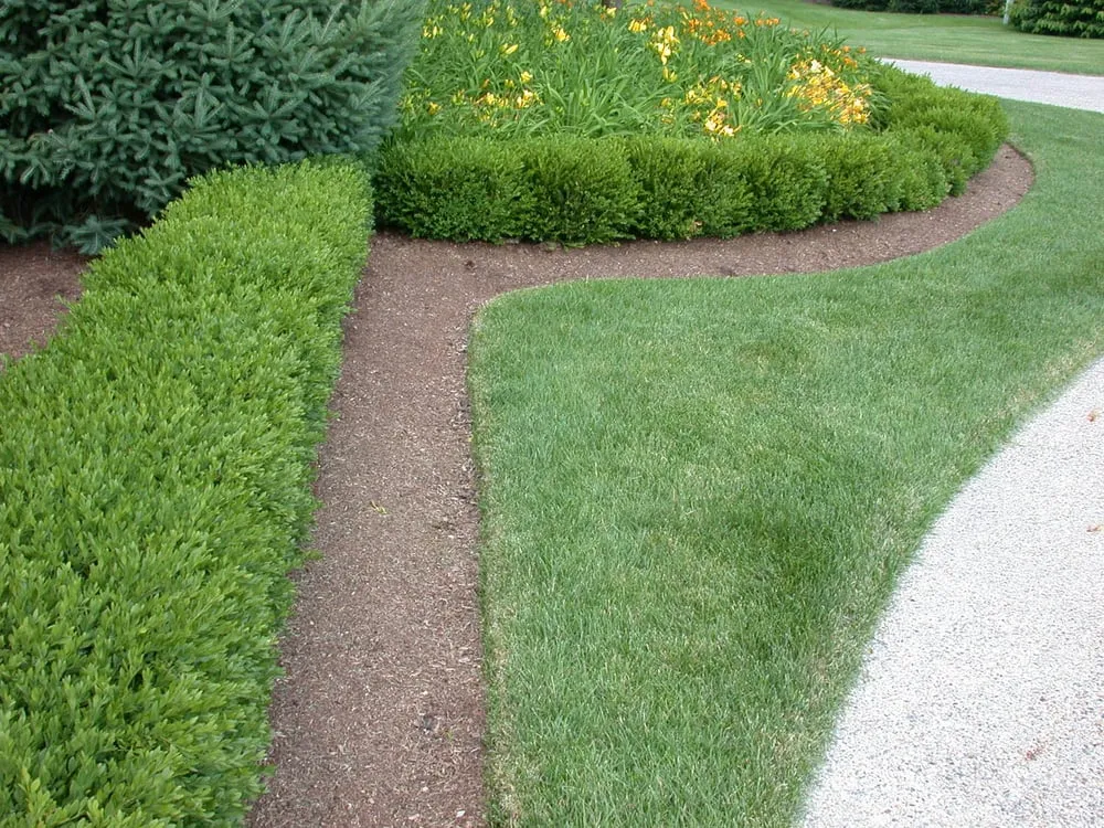 Local lawn mowing service in Carmel, IN by Engledow Group