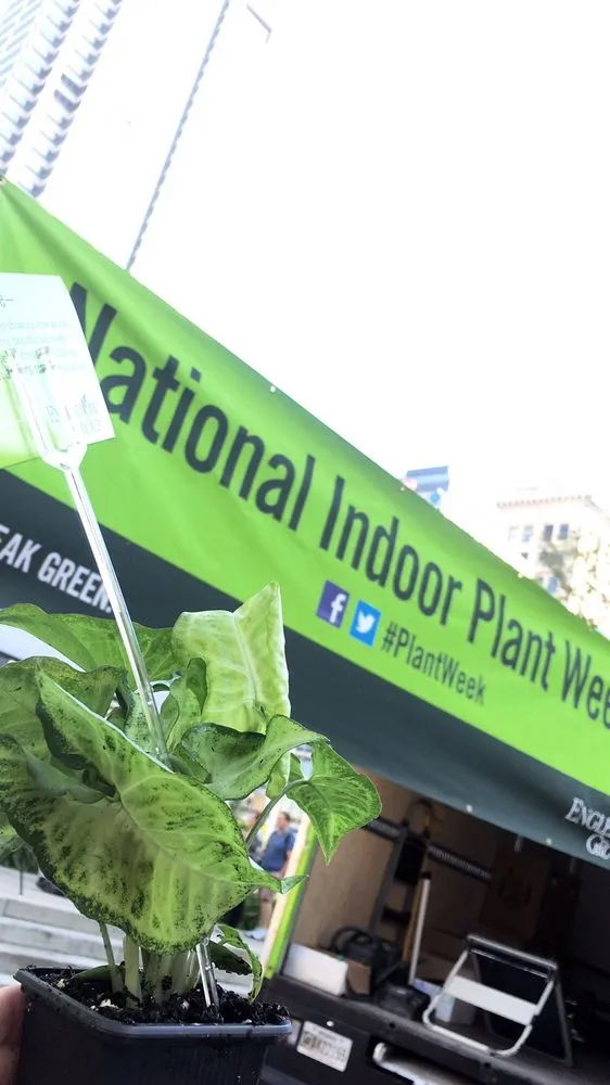 Local landscaping services for outdoor upgrades in Carmel, IN by Engledow Group