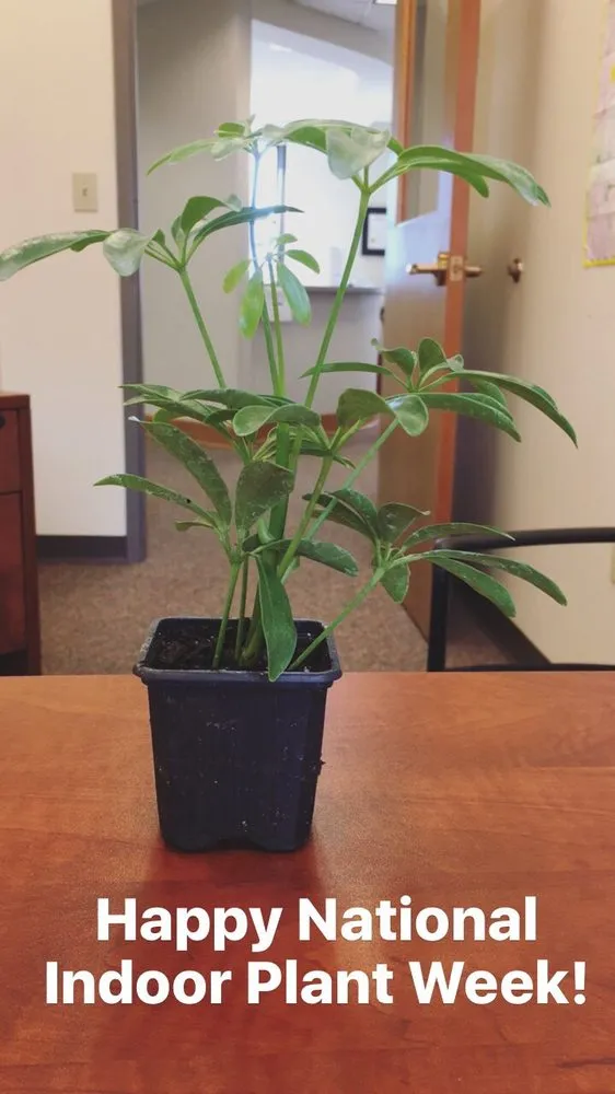 Top-rated yard cleanup service in Carmel, IN by Engledow Group