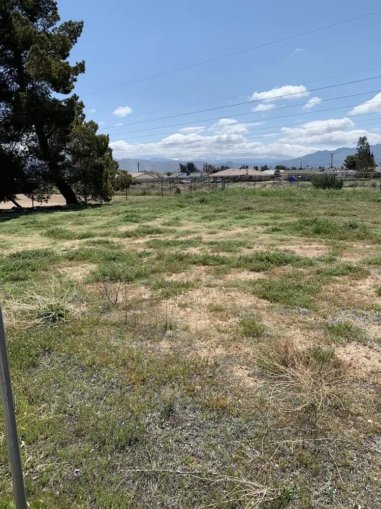 Top-rated landscape design with custom design in Hesperia, CA by Engles Tractor