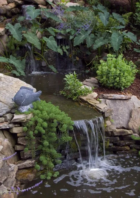 Professional landscaping services for residential properties in Kingsport, TN by Englewood Lawn & Landscapes, LLC