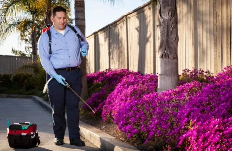 Local outdoor landscaping experts serving Englewood, FL - Englewood Pest Control