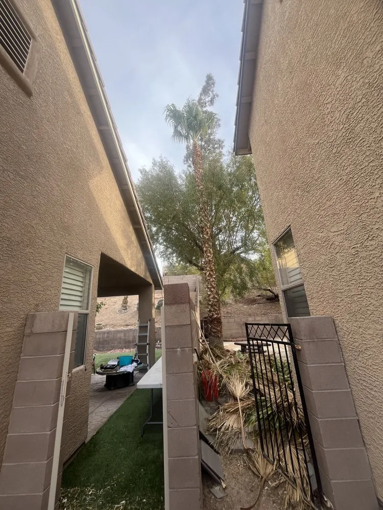 Local yard cleanup service in Henderson, NV - English Care and Landscape