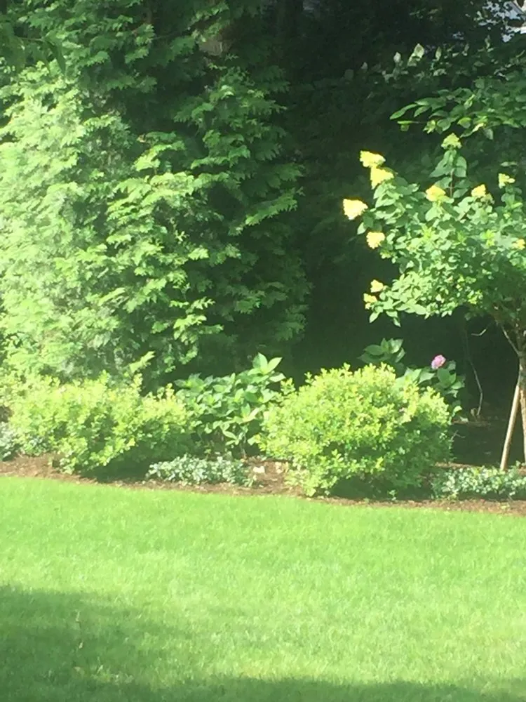 Local residential landscaping experts serving Riverside, CT - English Gardens & Designs