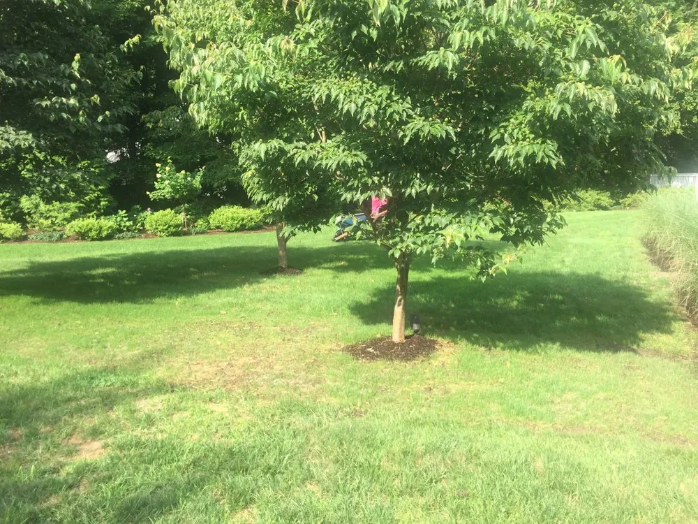 Expert lawn care service with custom design in Riverside, CT by English Gardens & Designs