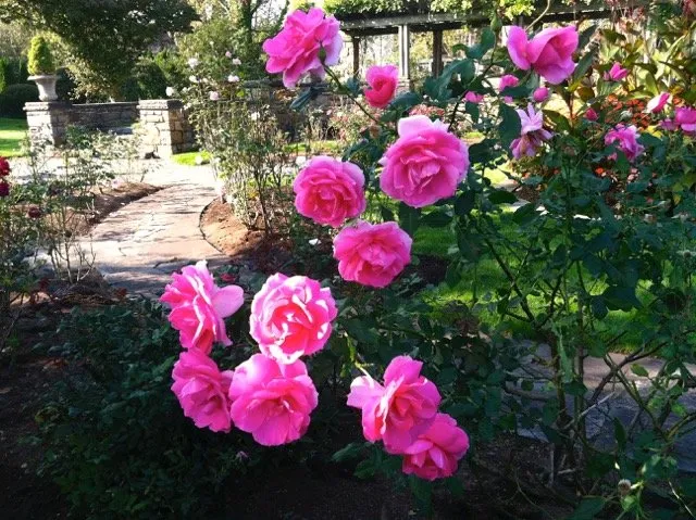 Expert outdoor landscaping in Riverside, CT - English Gardens & Designs