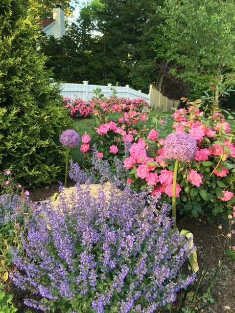 Expert lawn mowing service in Riverside, CT - English Gardens & Designs