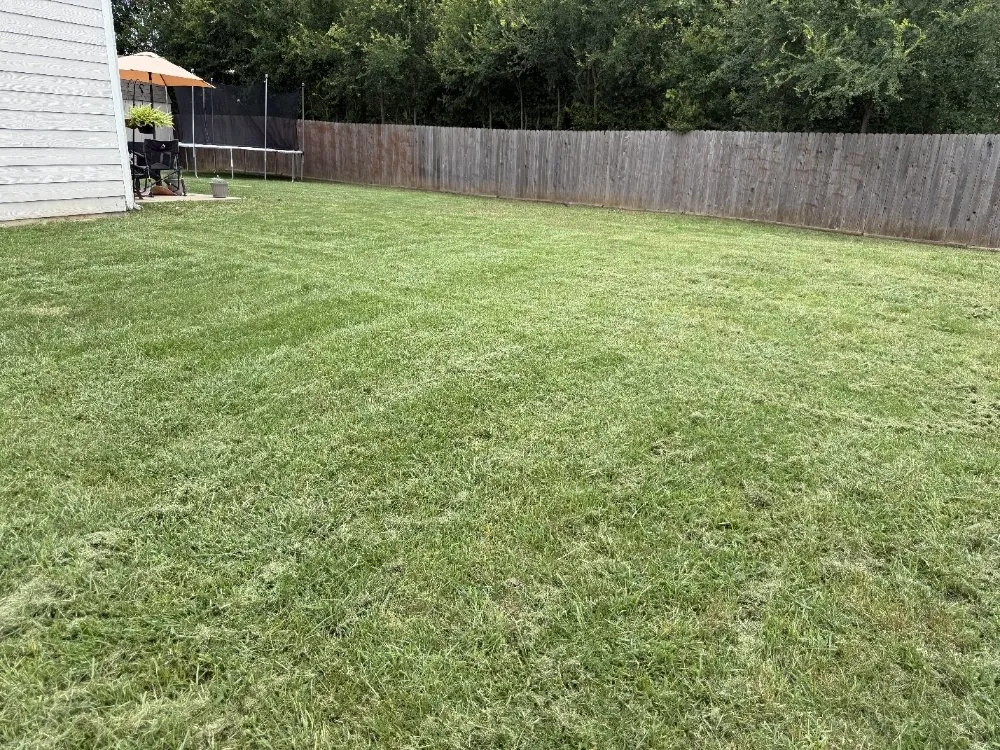 Affordable yard cleanup service for residential properties in Crowley, TX by English Home Services